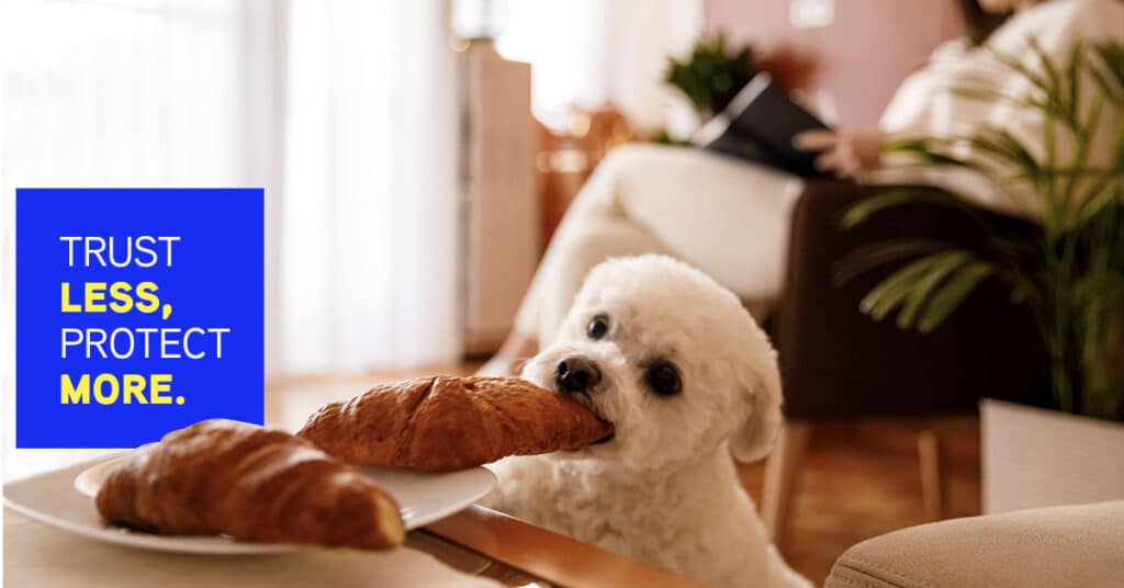 Zero trust ad of a dog sneakily eating croissants left on the table while the owner is unaware.